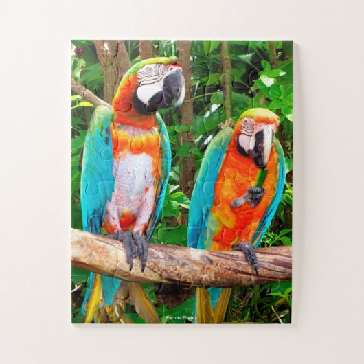 Perroquets Floride Jigsaw Puzzle (Vertical)