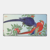 PERROQUETS ROUGES BLEUS (Recto)