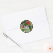 Perroquets - scarlette macaw stickers (Enveloppe)
