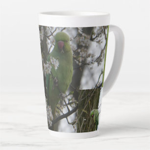 Perruche à anneau de rose dans la Mug latte de l'a