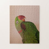 Perruche à anneau rose photo Jigsaw Puzzle diffici (Vertical)