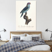 Perruche a bandeau rouge / Musk Loriket Canvas Afdruk (Insitu (Slaapkamer))