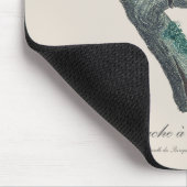 Perruche a tete bleue / Rainbow loriket Muismat (Hoek)