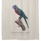 Perruche a tete bleue, vrouwelijk / regenbooglorik douchegordijn (Voorkant)