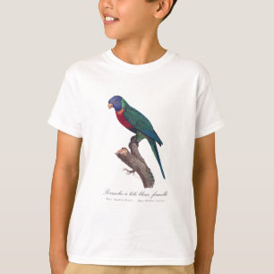 Perruche a tete bleue, vrouwelijk / regenbooglorik t-shirt