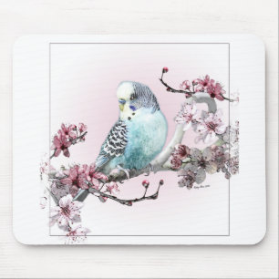 Perruche et tapis de souris de fleurs de cerisier