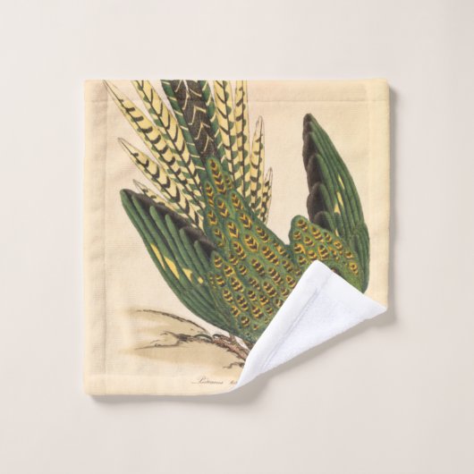 Perruche terrestre de James Sowerby, Psittacus ter (Gant de toilette)