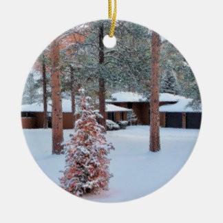 Perry Park in Winter Kerstmis Ornament