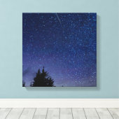Perseid Meteor Shower Canvas Afdruk (Insitu (Houten vloer))
