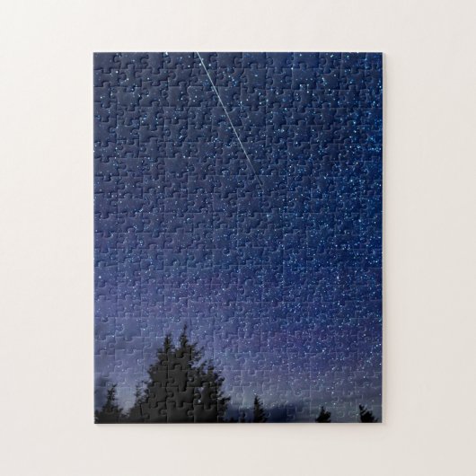 Perseid Meteor Shower Legpuzzel (Verticaal)
