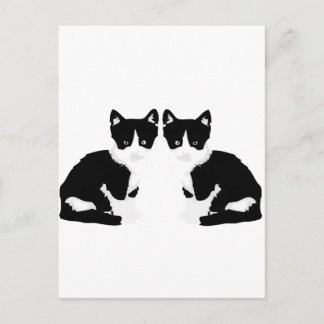 persephone&hades "tuxedo cat" briefkaart