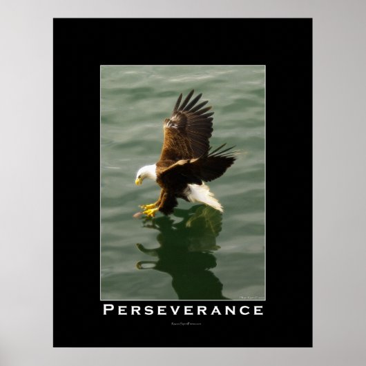 PERSEVERANCE Bald Eagle Motivatie Art Poster (Voorkant)