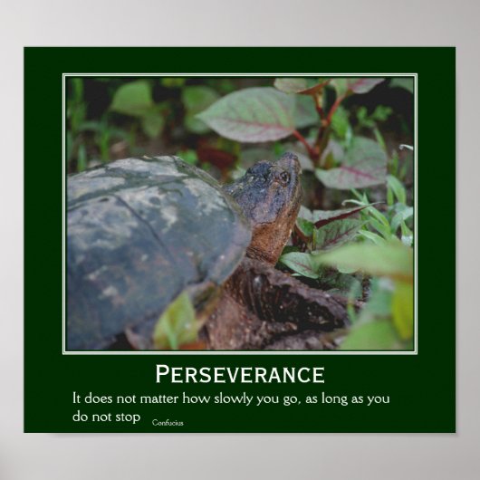 Perseverance Confucius Quote Turtle Inspirerend Poster (Voorkant)
