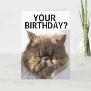 PERSIAN CAT FUNNY BIRTHDAY CARD KAART