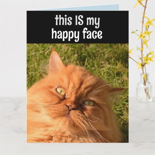 PERSIAN GINGER CHAT FUNNY HAPPY FACE CARTE D'ANNIV (Fleur jaune)