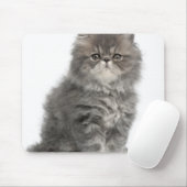 Persian Kitten (2 maanden oud) zittend Muismat (Met muis)