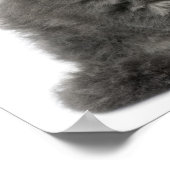 Persian Kitten (2 maanden oud) zittend Poster (Hoek)