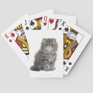 Persian Kitten (2 maanden oud) zittend Speelkaarten