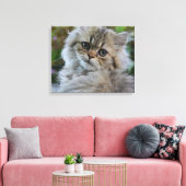 Persian Kitten Canvas Afdruk (Insitu (Woonkamer))