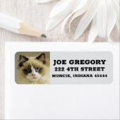 PERSIAN RAGDOLL CAT Adresse de retour Étiquettes (En situation)