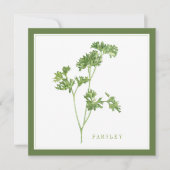 PERSIL FRAIS Carte plate carrée 5,25" / Vert (Devant)