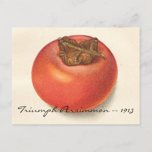  Persimmon-Briefkaart Briefkaart