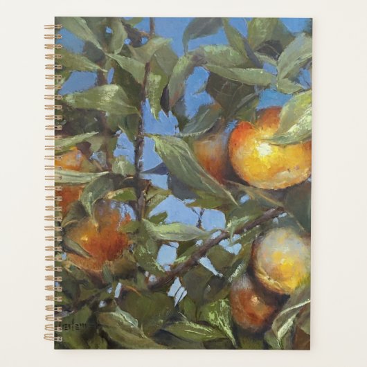 Persimmon Fruit Tree Belle oeuvre originale (Devant)