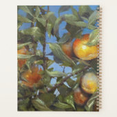 Persimmon Fruit Tree Belle oeuvre originale (Dos)