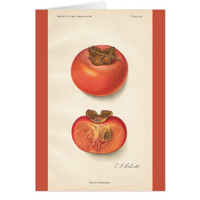  Persimmon-kaart (Voorkant)