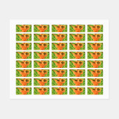 Persimmon (kaki) labels (Vel)