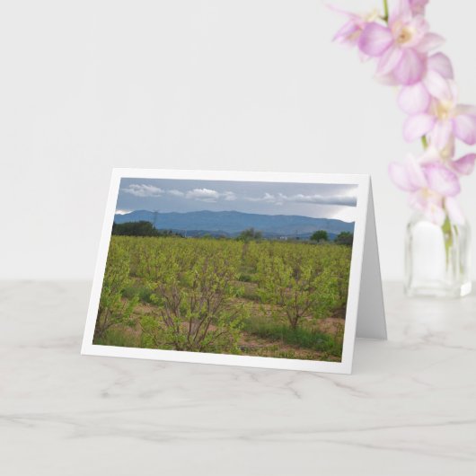Persimmon Trees and Mountain Landscape Card Kaart (Orchidee)