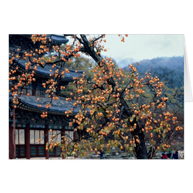 Persimmons, herfst (Voorkant Horizontaal)