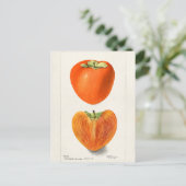 persimons Waterverf Briefkaart (Staand voorkant)
