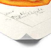 Persimons Waterverf schilderen Poster (Hoek)