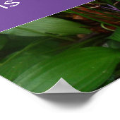 Persistance sagesse dire affiche photo (Coin)