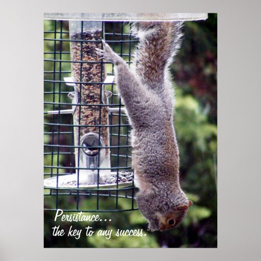 persistentie poster (Voorkant)