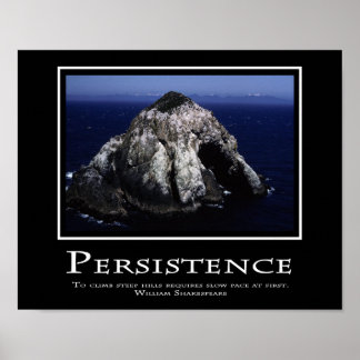 Persistentie Poster