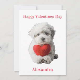 Personaliseer Bichon Frise Puppy Valentijn Feestdagenkaart
