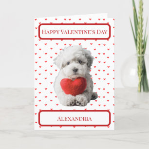 Personaliseer Bichon Frise Puppy Valentijn Kaart
