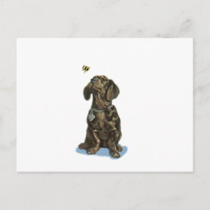 Personaliseer Dachshund en bij kunstgeschenken Briefkaart