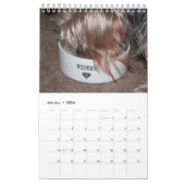 Personaliseer het! Cactus Cooler Pet Buddy Calenda Kalender (Jan 2026)