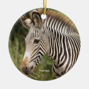 Personaliseer Juveniele Zebra Keramisch Ornament