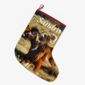 Personaliseer miniatuur pony's grote kerstsok (Voorkant (Hangend))