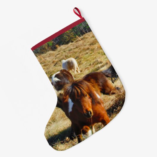 Personaliseer miniatuur pony's grote kerstsok (Achterkant (Hangend))