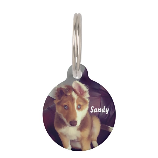 Personaliseer uw eigen huisdierpenning (Voorkant)