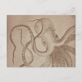 Personaliseren | oude octopus | document zee briefkaart