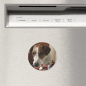 Personalisiert Magnete Magneet (Insitu (Vaatwasser))