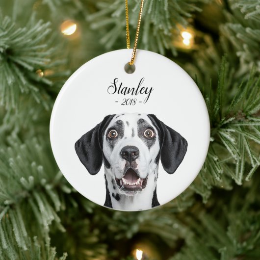 personalize pet name & picture keramisch ornament (Boom)