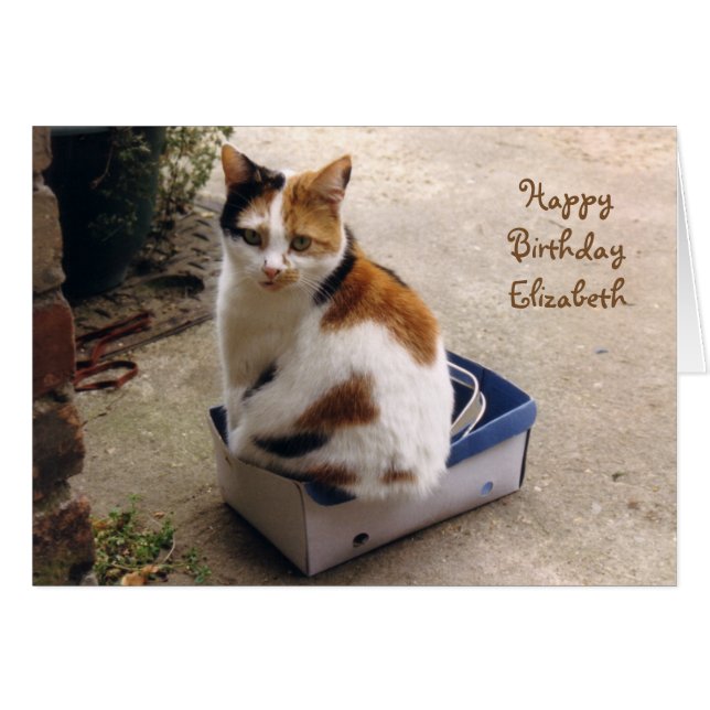 Personalized Calico cat sat in a box Birthday (Devant horizontal)