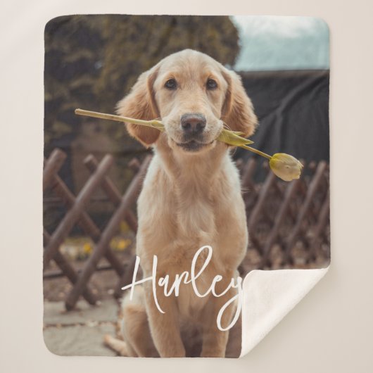 Personalized Custom Photo And Text Sherpa Deken (Voorkant)